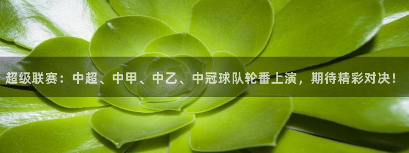 超级联赛：中超、中甲、中乙、中冠球队轮番上演，期待精彩对决！