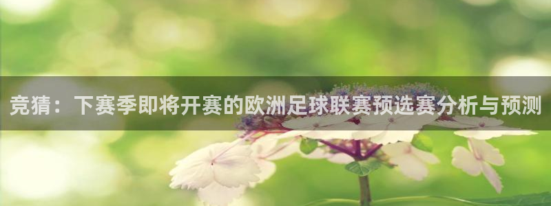竞猜：下赛季即将开赛的欧洲足球联赛预选赛分析与预测