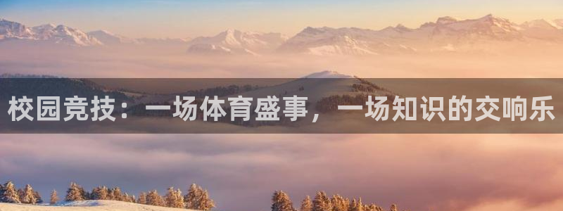 校园竞技：一场体育盛事，一场知识的交响乐