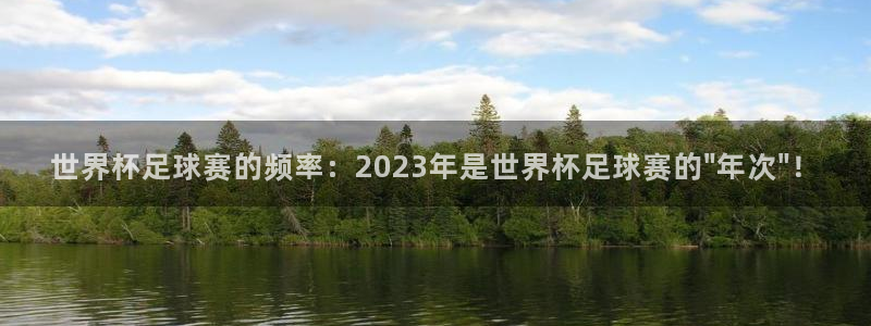 the one壹号 软件