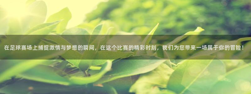 一号游戏官网：在足球赛场上捕捉激情与梦想的瞬间，在这个比赛的