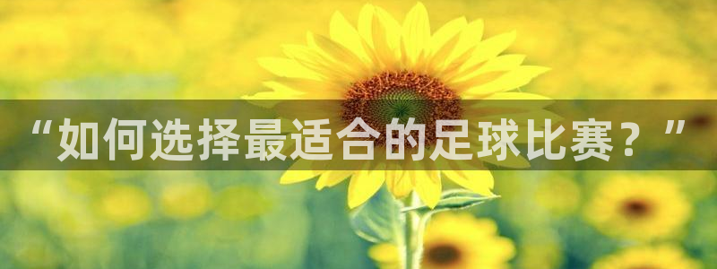 壹号公馆ktv价格：“如何选择最适合的足球比赛？”