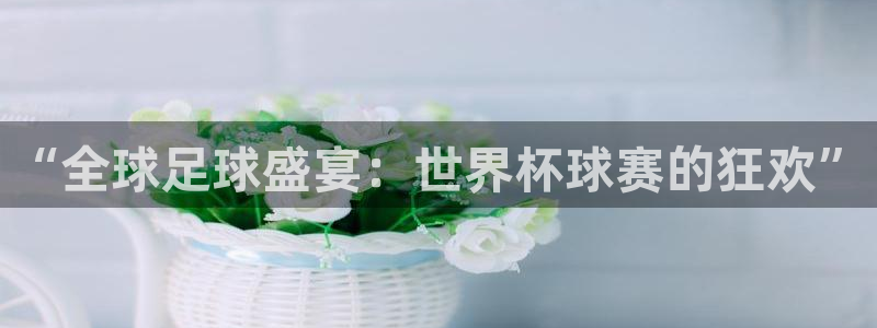 壹号平台网站pg：“全球足球盛宴：世界杯球赛的狂欢”