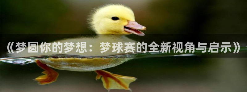 一号平台下载