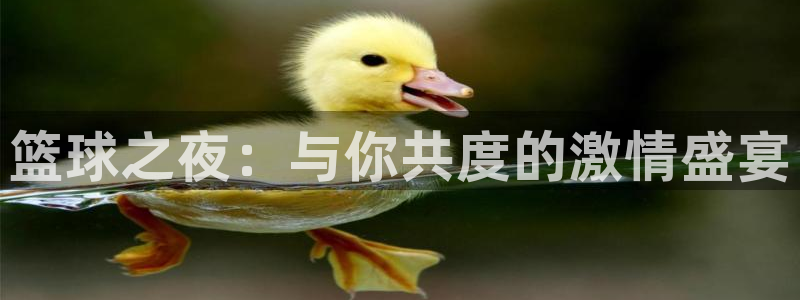 壹号娱乐会所价格查询