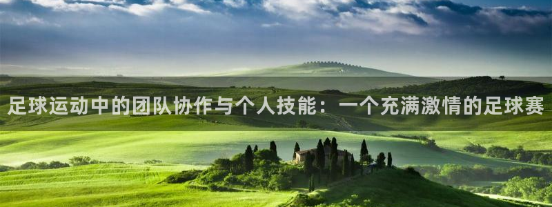 壹号平台下载安装ios：足球运动中的团队协作与个人技能：一个