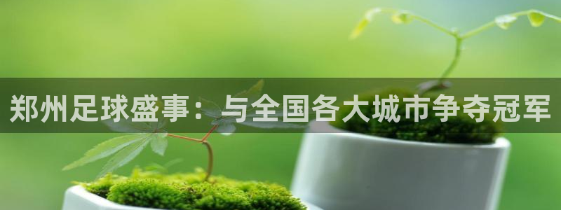 壹号平台登录入口登录：郑州足球盛事：与全国各大城市争夺冠军