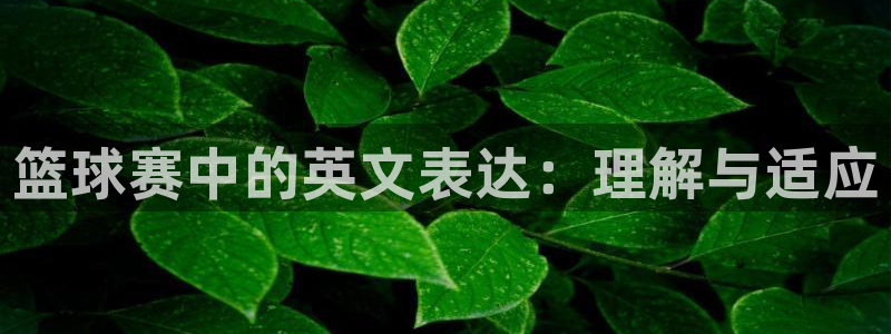 壹号商城app下载