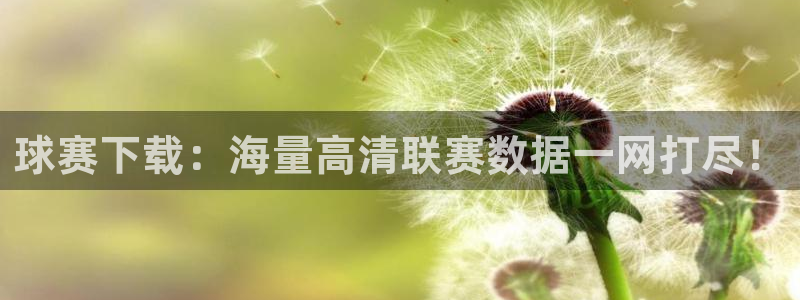 壹号俱乐部怎么样啊